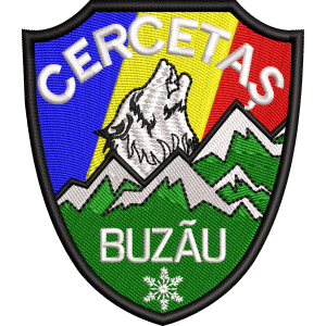 EMBLEMA - BATALIONUL 3 GENIU CERCETARE