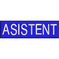 ECUSON AMBULANTA-ASISTENT-PIEPT