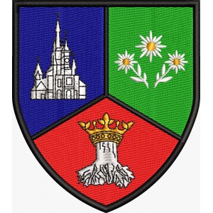 EMBLEMA BRASOV