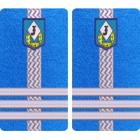 GRADE COLONEL JANDARMI