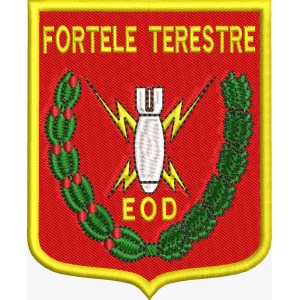 ECUSON / EMBLEMA - FORTELE TERESTRE EOD