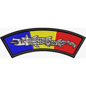 Patch-uri militare  / EMBLEMA CAP DACIC TRICOLOR