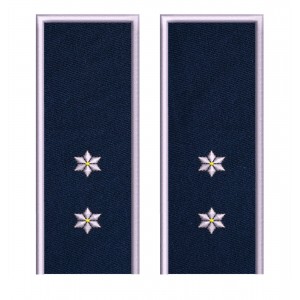 GRADE INSPECTOR POLITIE IGPR