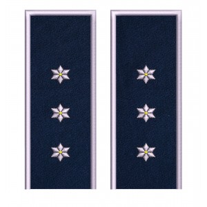 GRADE INSPECTOR PRINCIPAL POLITIE IGPR