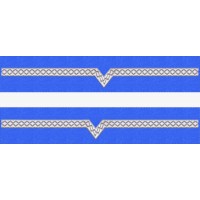 GRADE MANECA MAISTRU MILITAR CLASA 5 FORTE AERIENE