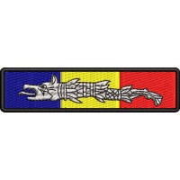 Patch-uri militare  / EMBLEMA CAP DACIC TRICOLOR 1
