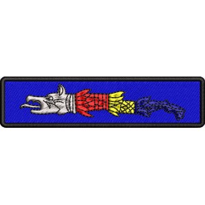 Patch-uri militare  / EMBLEMA CAP DACIC TRICOLOR 2