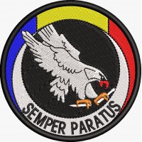 ECUSON / EMBLEMA - DETASAMENTUL SEMPER PARATUS / 1