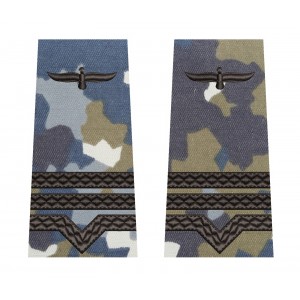 GRADE MAISTRU MILITAR CLASA 3 COMBAT AVIATIE