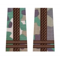 GRADE COMBAT LOCOTENENT COLONEL FORTE TERESTRE
