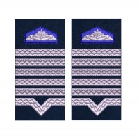 GRADE MAISTRU MILITAR PRINCIPAL SRI