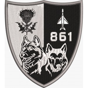 EMBLEMA ESCADRILA 861