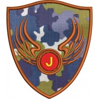 ECUSON / EMBLEMA - ARIPI COMBAT AVIATIE
