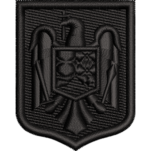 EMBLEMA COIFURA AVIATIE ( CUC AVIATIE ) NEGRU