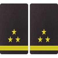 GRADE MAISTRU MILITAR 2 - FORTE NAVALE