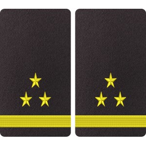 GRADE MAISTRU MILITAR 2 - FORTE NAVALE