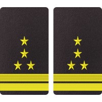 GRADE MAISTRU MILITAR PRINCIPAL - FORTE NAVALE