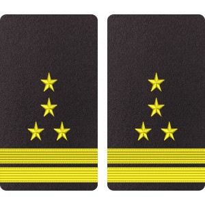 GRADE MAISTRU MILITAR PRINCIPAL - FORTE NAVALE