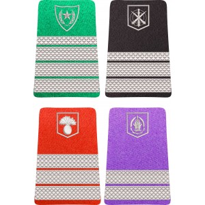 GRADE MILITARE DE ORAS SUBOFITERI – MAPN