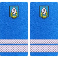 GRADE SERGENT MAJOR JANDARMI