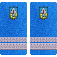 GRADE SERGENT MAJOR JANDARMI - MODEL 2 " COMANDA SPECIALA "
