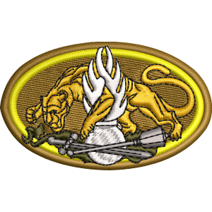 EMBLEMA INSTRUCTOR JANDARMI - de piept