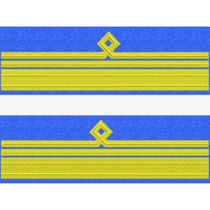 GRADE MANECA CAPITAN COMANDOR FORTE AERIENE