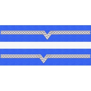 GRADE MANECA MAISTRU MILITAR CLASA 5 FORTE AERIENE
