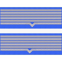 GRADE MANECA MAISTRU MILITAR PRINCIPAL FORTE AERIENE