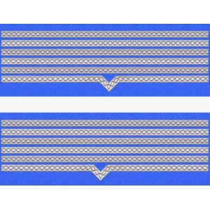 GRADE MANECA MAISTRU MILITAR PRINCIPAL FORTE AERIENE