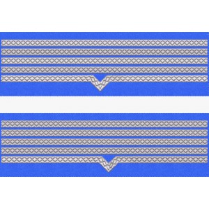 GRADE MANECA MAISTRU MILITAR CLASA 1 FORTE AERIENE