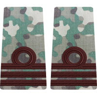 GRADE COMBAT CAPITAN MARINA MILITARA  (Forțele Navale Române)