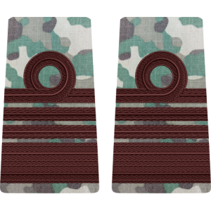 GRADE COMBAT COMANDOR MARINA MILITARA  (Forțele Navale Române)