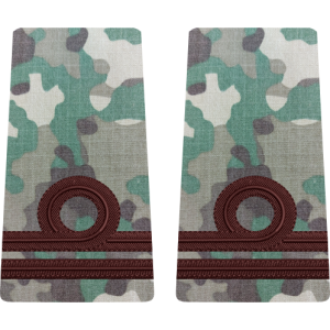 GRADE COMBAT LOCOTENENT MARINA MILITARA  (Forțele Navale Române)