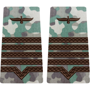 GRADE COMBAT TERESTRU MAISTRU MILITAR CLASA 1 Aviația Română (Forțele Aeriene )