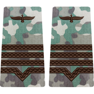 GRADE COMBAT TERESTRU MAISTRU MILITAR CLASA 2 Aviația Română (Forțele Aeriene )