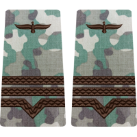 GRADE COMBAT TERESTRU MAISTRU MILITAR CLASA 3 Aviația Română (Forțele Aeriene )