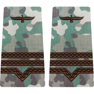 GRADE COMBAT TERESTRU MAISTRU MILITAR CLASA 3 Aviația Română (Forțele Aeriene )