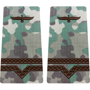 GRADE COMBAT TERESTRU MAISTRU MILITAR CLASA 4 Aviația Română (Forțele Aeriene )