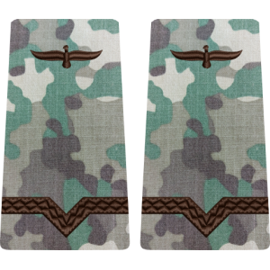 GRADE COMBAT TERESTRU MAISTRU MILITAR CLASA 5 Aviația Română (Forțele Aeriene )