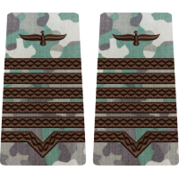 GRADE COMBAT TERESTRU MAISTRU MILITAR PRINCIPAL Aviația Română (Forțele Aeriene )