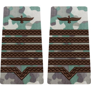 GRADE COMBAT TERESTRU MAISTRU MILITAR PRINCIPAL Aviația Română (Forțele Aeriene )