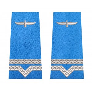 GRADE MAISTRU MILITAR CLASA 4 FORTE AERIENE
