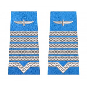 GRADE MAISTRU MILITAR PRINCIPAL FORTE AERIENE