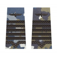 GRADE MAISTRU MILITAR PRINCIPAL COMBAT AVIATIE