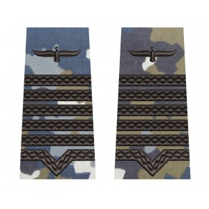 GRADE MAISTRU MILITAR PRINCIPAL COMBAT AVIATIE