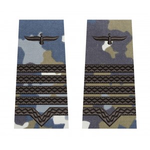 GRADE MAISTRU MILITAR CLASA I COMBAT AVIATIE