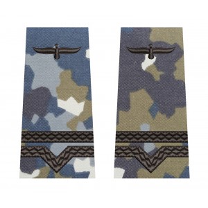 GRADE MAISTRU MILITAR CLASA 4 COMBAT AVIATIE