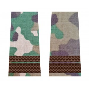 GRADE SERGENT MAJOR COMBAT FORTE TERESTRE