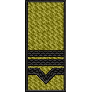 GRADE MAISTRU MILITAR CLASA III / PATCH CU SCAI